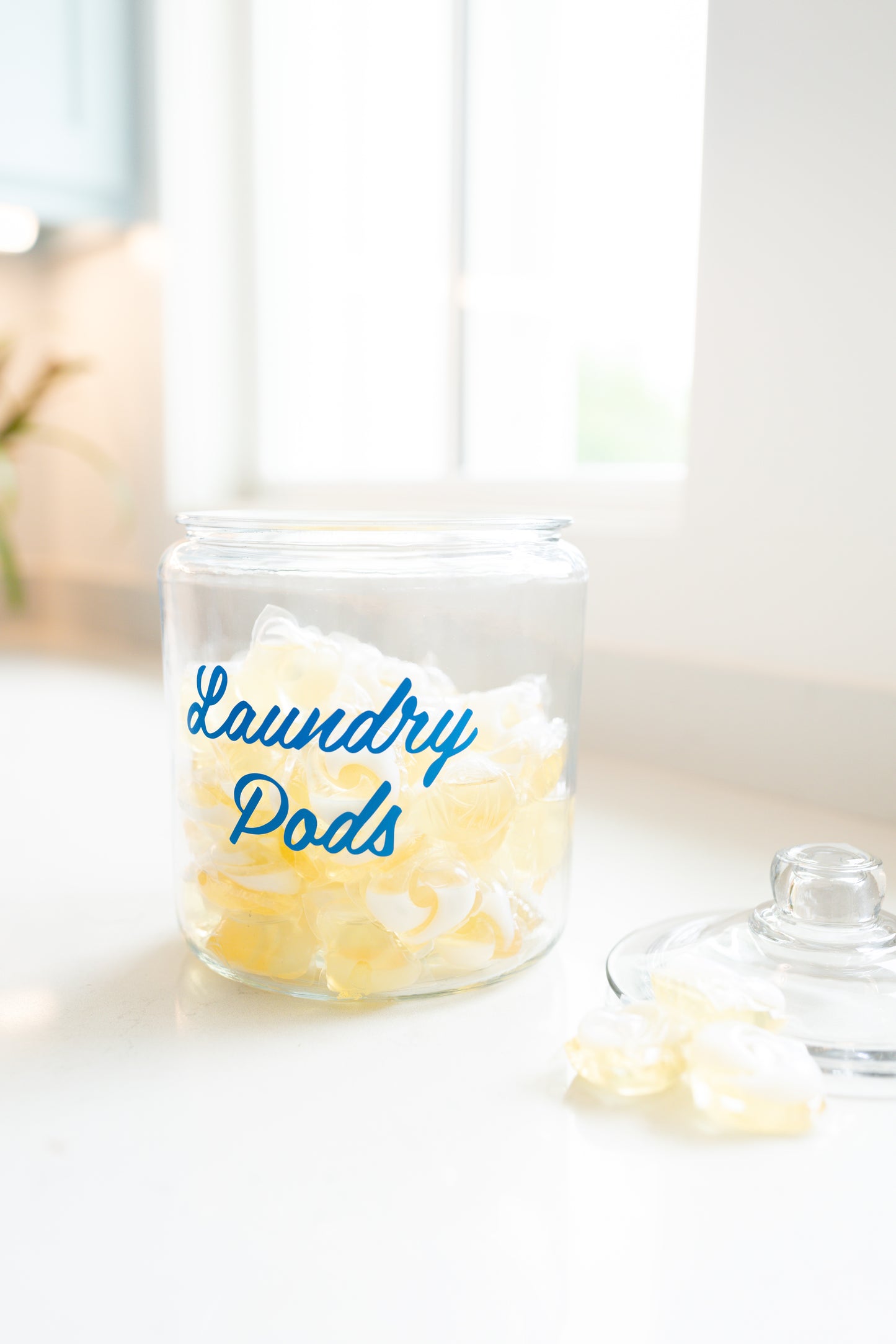 Steady Support - Bi-weekly Visits