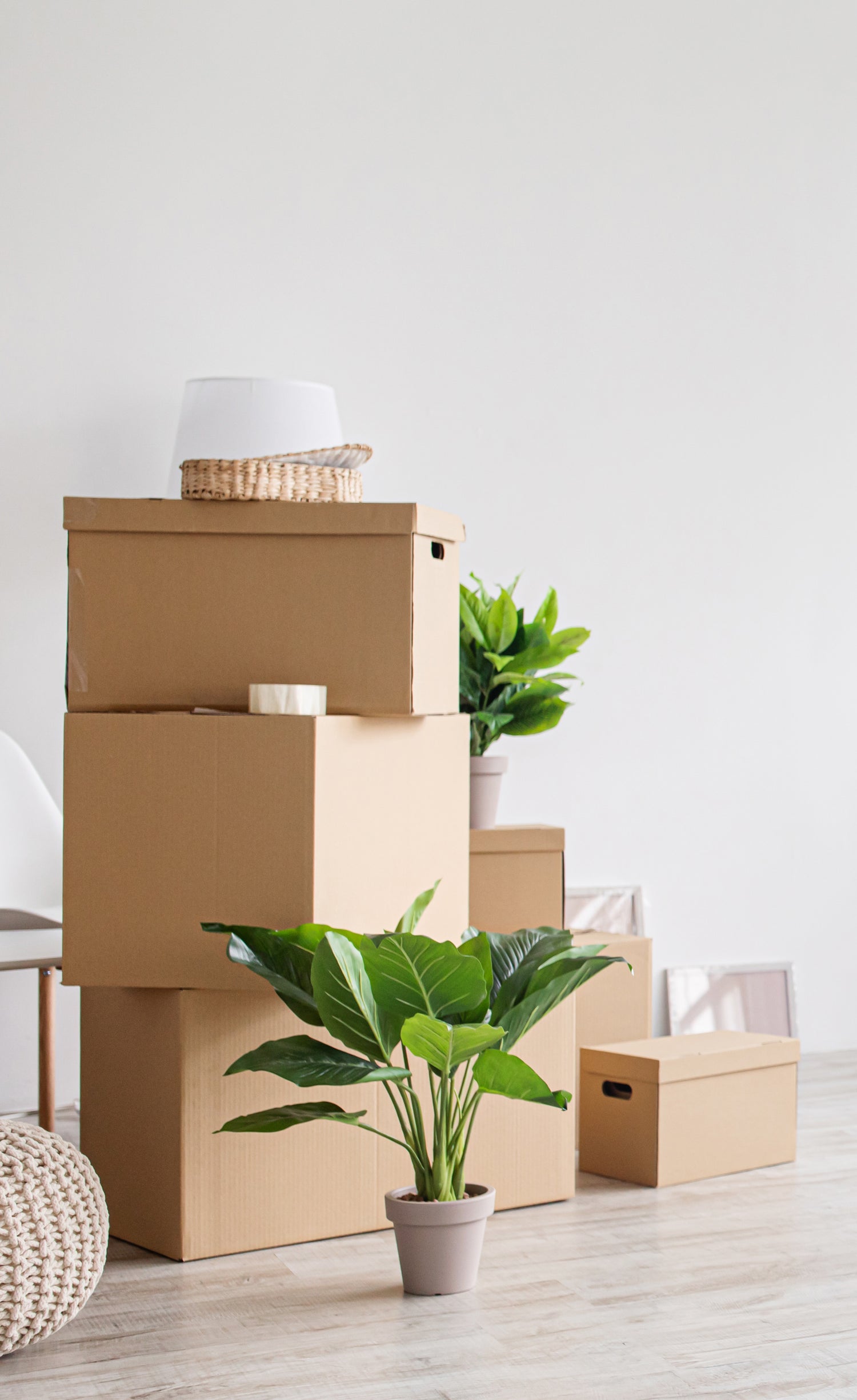 Relocation Organization